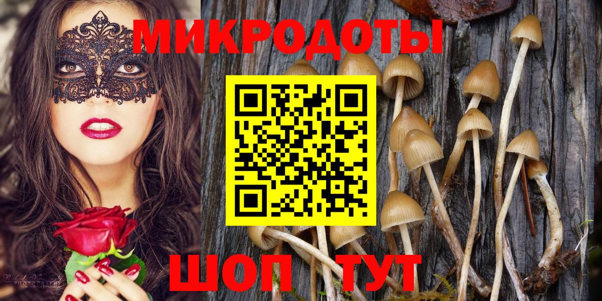 Урюпинск  Псилоцибиновые грибы Cubensis  Вход с VPN 